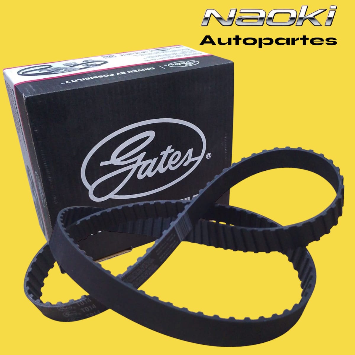 Kit distribucion ranger 2.3 1983 al 1992 sin bomba gates