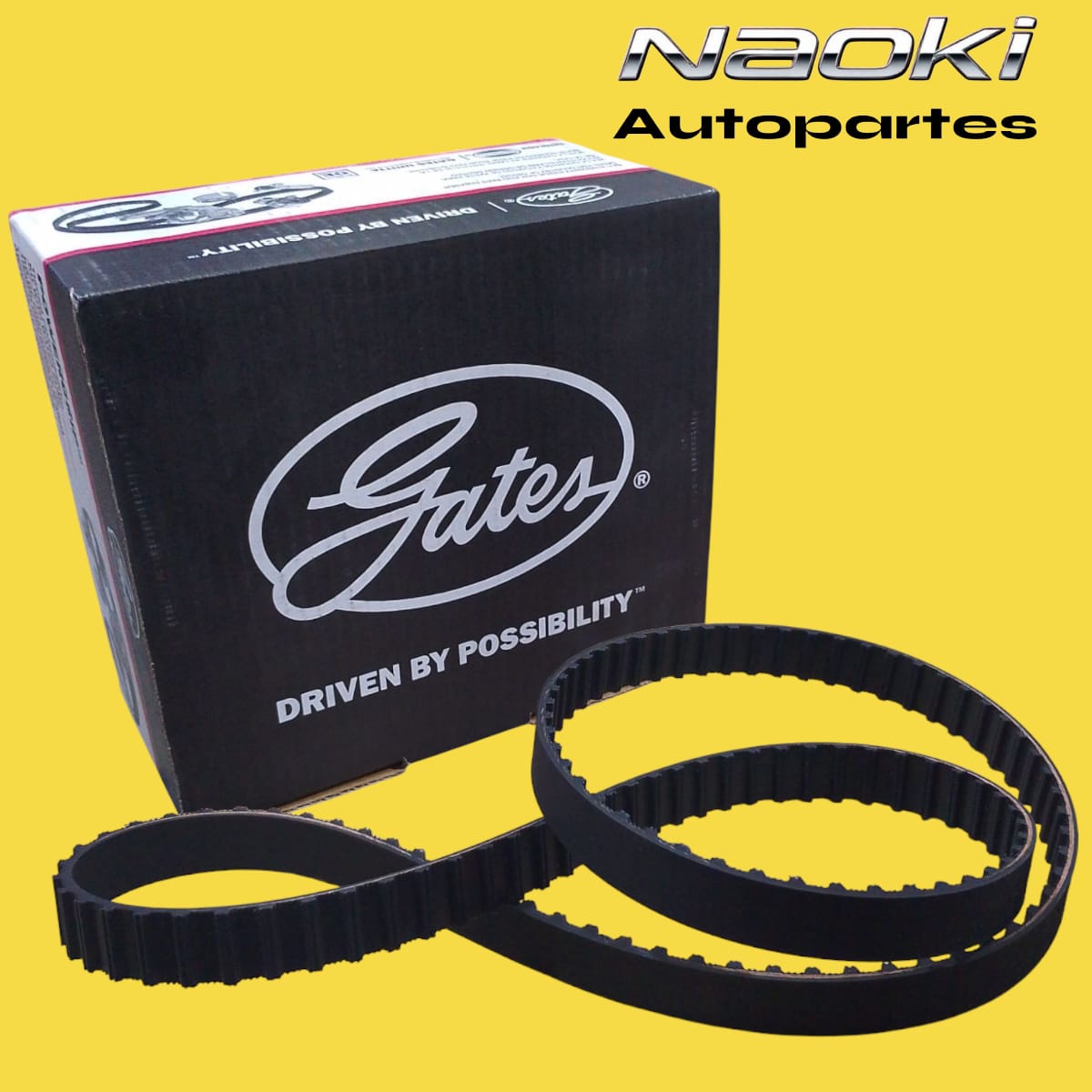 Kit distribucion cabrio 2.0 2000 al 2002 sin bomba gates