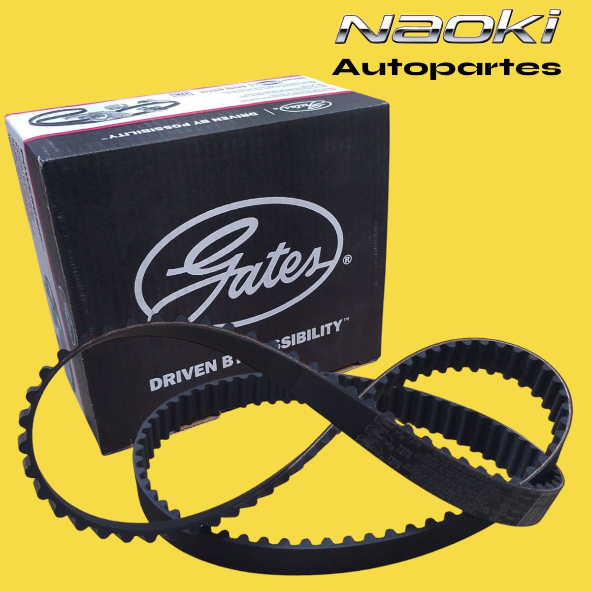 Kit distribucion ford f100 2.5 1998 al 2000 s/bomba