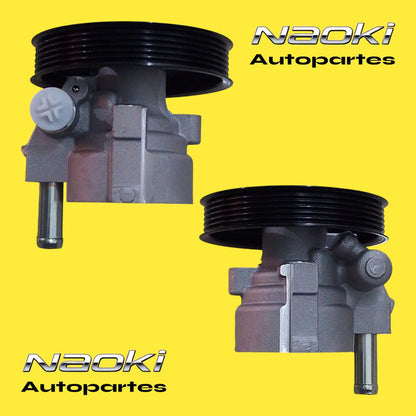 Bomba Direccion Hidraulica Platina 2002 Al 2010 1.6 S/dep